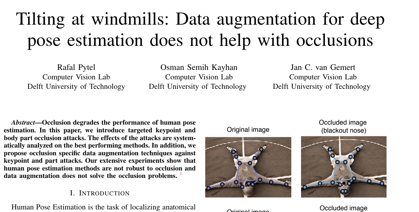Data augmentation for deep pose estimation